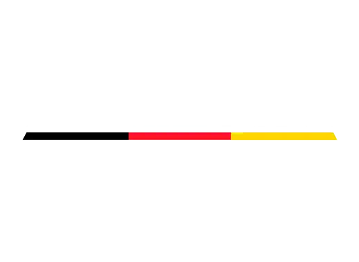 Партнёр SDC - evolution motor oil